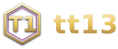 tt13 logo